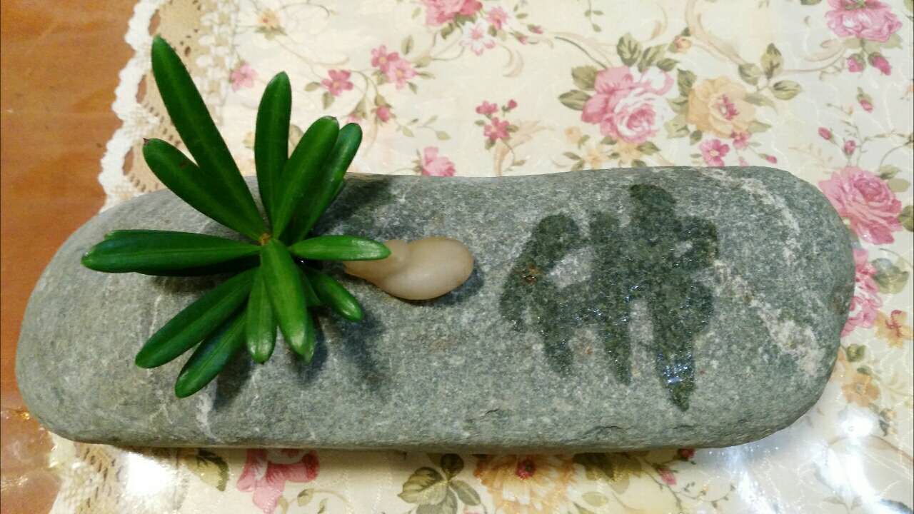 一个小石景