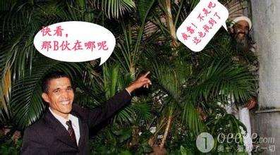 觅心会有点累