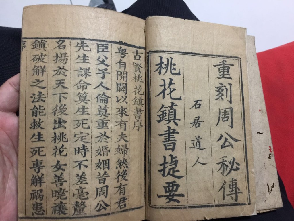 桃花镇01