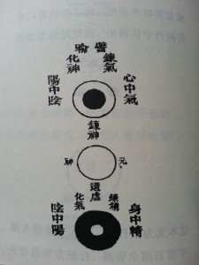 20130321_120650