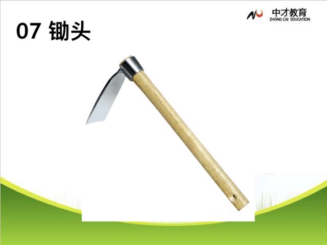 智商Vs.智慧