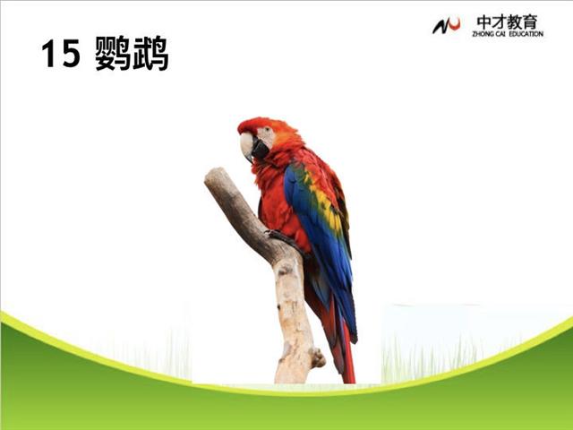 明从何处来？